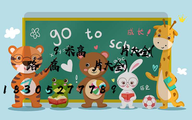 廣場9米高桿燈圖片大全(路燈高桿燈圖片大全)