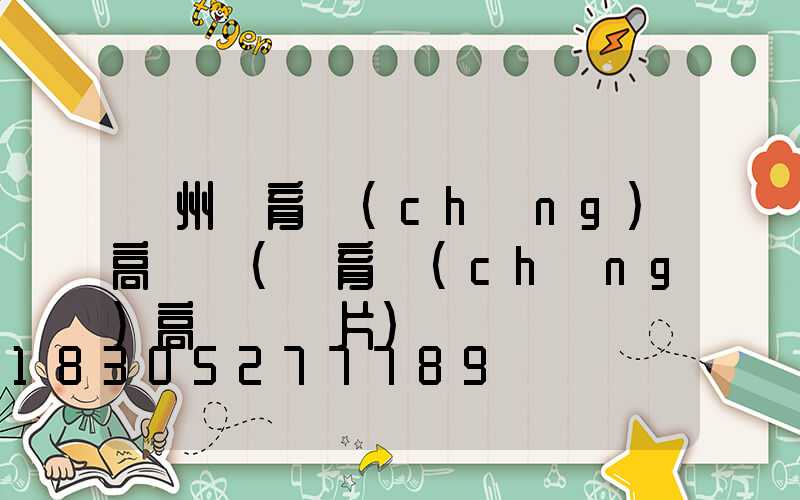 廣州體育場(chǎng)高桿燈(體育場(chǎng)高桿燈圖片)