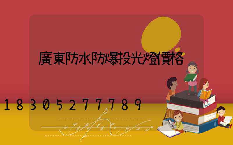 廣東防水防爆投光燈價格