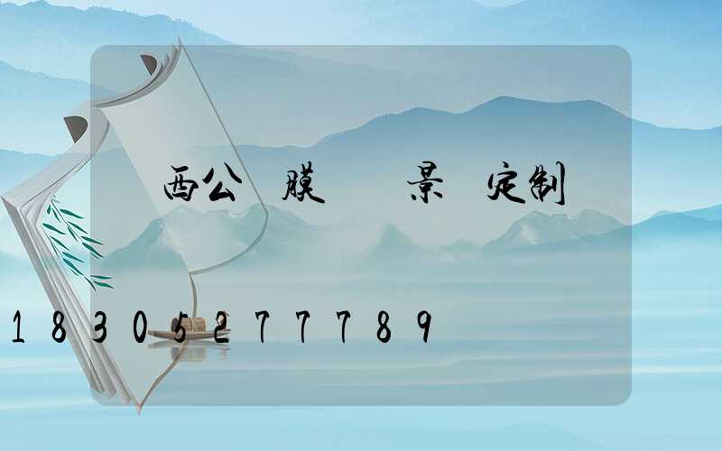 廣西公園膜結構景觀定制