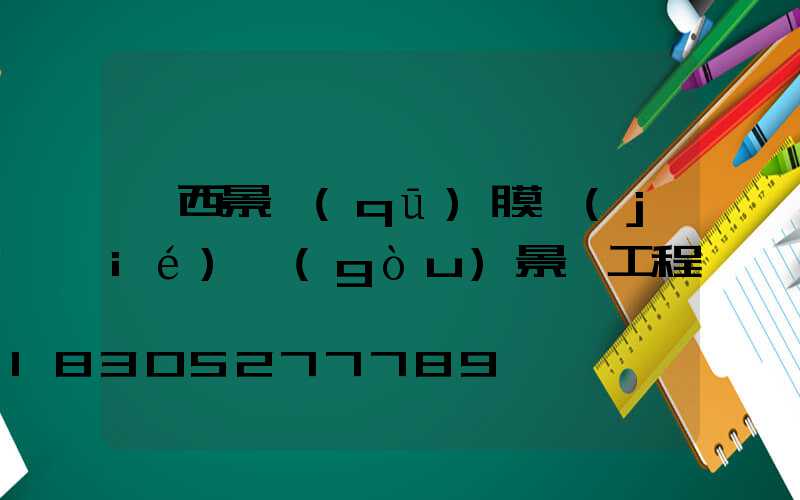 廣西景區(qū)膜結(jié)構(gòu)景觀工程