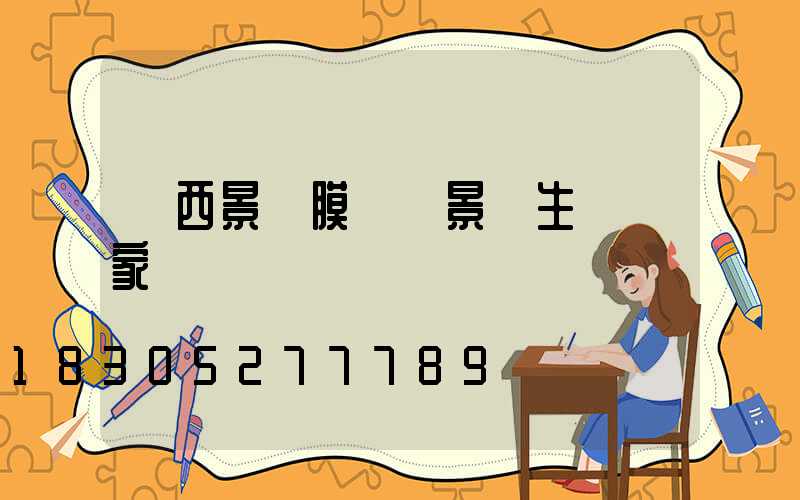 廣西景區膜結構景觀生產廠家