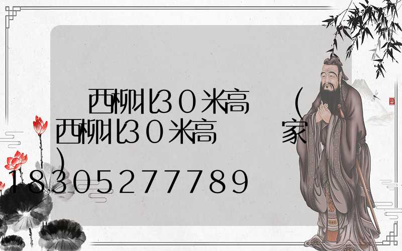 廣西柳北30米高桿燈(廣西柳北30米高桿燈廠家電話)