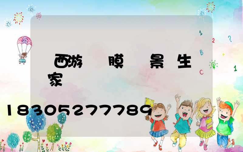 廣西游樂園膜結構景觀生產廠家