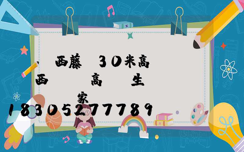 廣西藤縣30米高桿燈(廣西led高桿燈生產(chǎn)廠家)