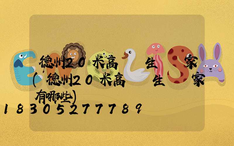 德州20米高桿燈生產廠家(德州20米高桿燈生產廠家有哪些)