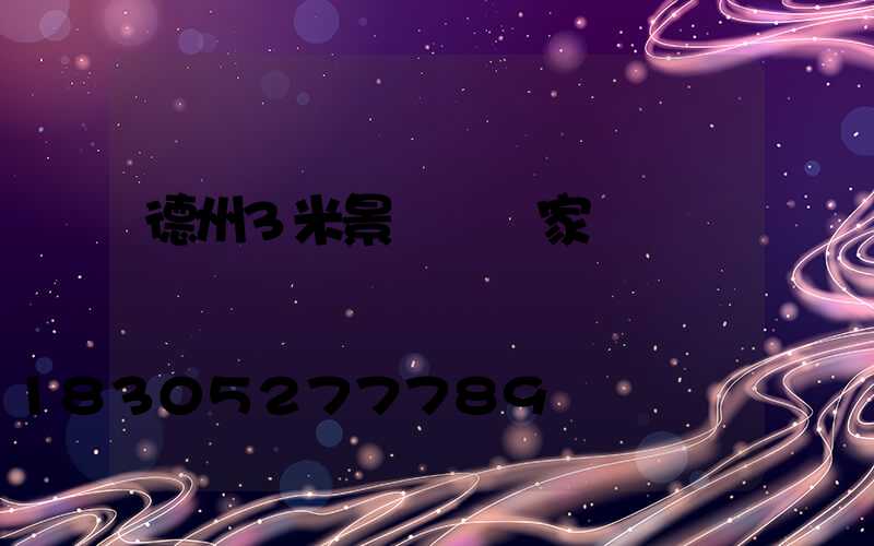 德州3米景觀燈廠家