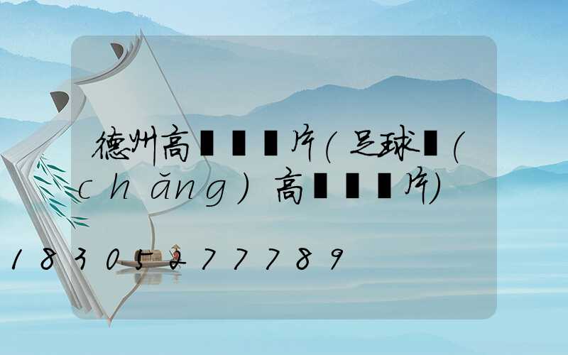 德州高桿燈圖片(足球場(chǎng)高桿燈圖片)