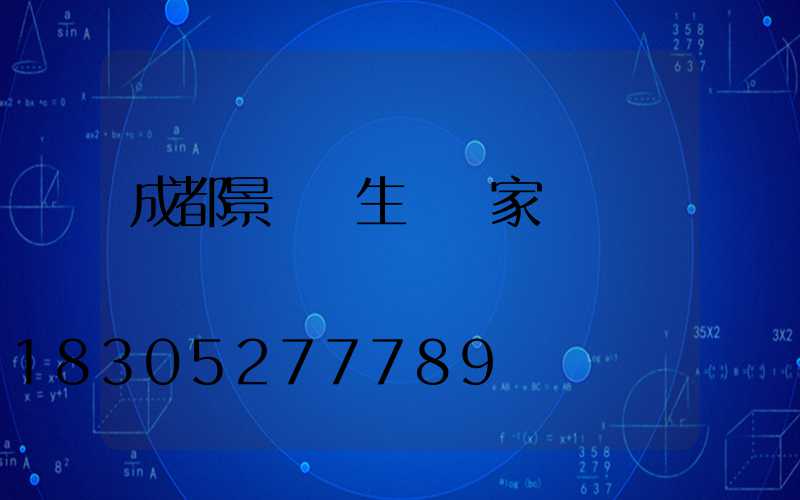 成都景觀燈生產廠家