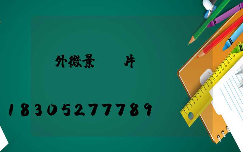 戶外微景觀圖片