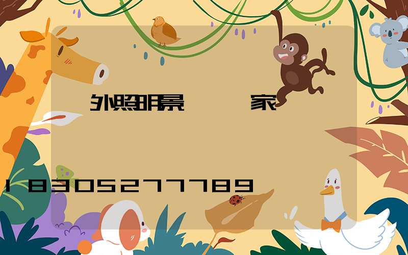 戶外照明景觀燈廠家