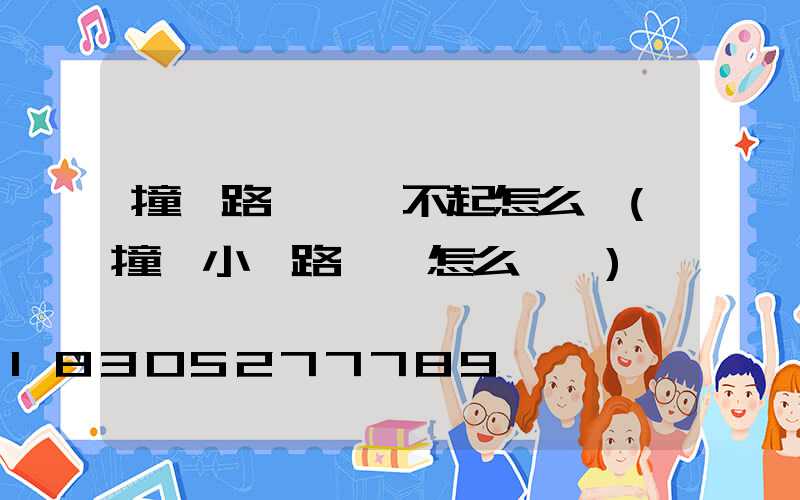 撞壞路燈賠償不起怎么辦(撞壞小區路燈桿怎么賠償)