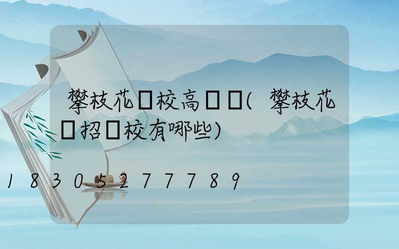 攀枝花學校高桿燈(攀枝花單招學校有哪些)