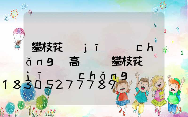 攀枝花機(jī)場(chǎng)高桿燈(攀枝花機(jī)場(chǎng)電話)