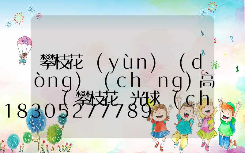 攀枝花運(yùn)動(dòng)場(chǎng)高桿燈(攀枝花燈光球場(chǎng))