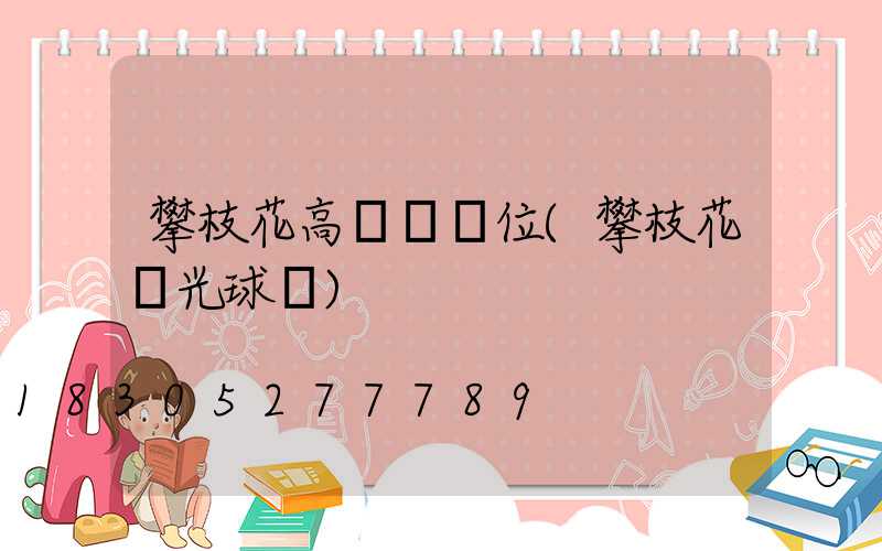 攀枝花高桿燈價位(攀枝花燈光球場)