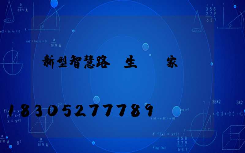 新型智慧路燈生產廠家