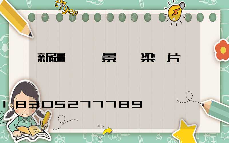 新疆鋼結構景觀橋梁圖片