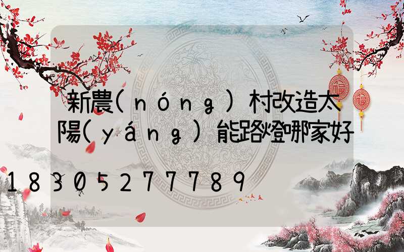 新農(nóng)村改造太陽(yáng)能路燈哪家好