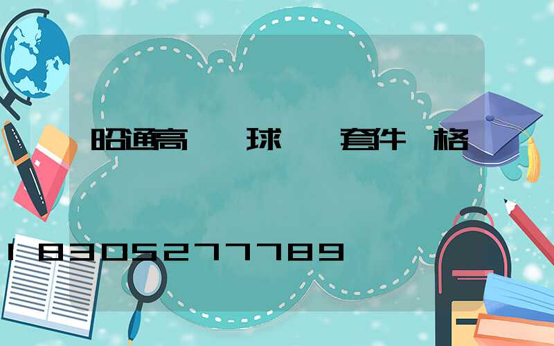 昭通高桿燈球場燈套件價格