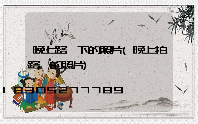 晚上路燈下的照片(晚上拍路燈的照片)