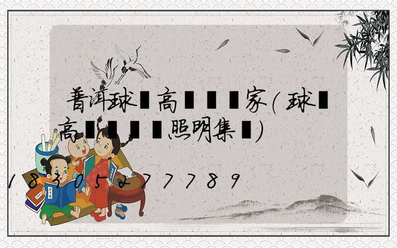 普洱球場高桿燈廠家(球場高桿燈誠陽照明集團)