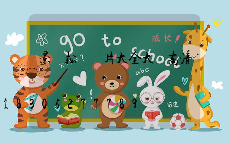 景觀松樹圖片大全大圖高清