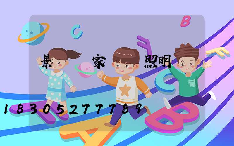 景觀燈廠家選誠陽照明