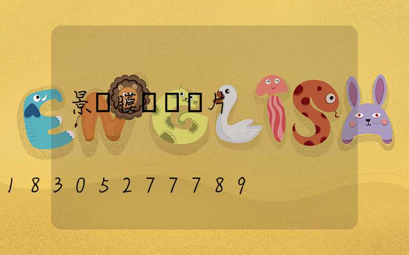 景觀膜結構圖片