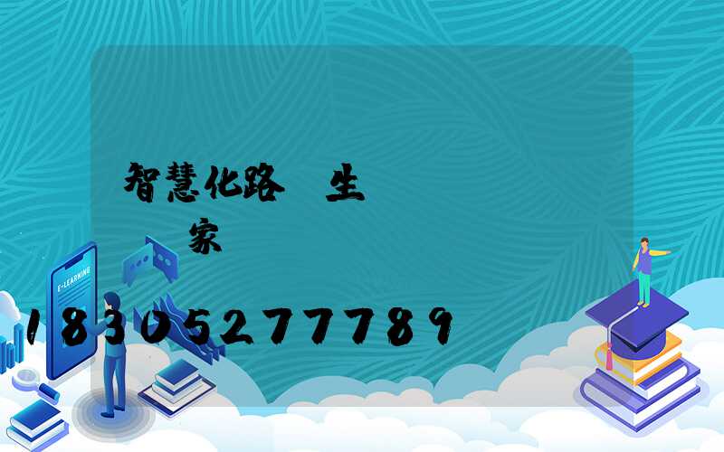 智慧化路燈生產(chǎn)廠家