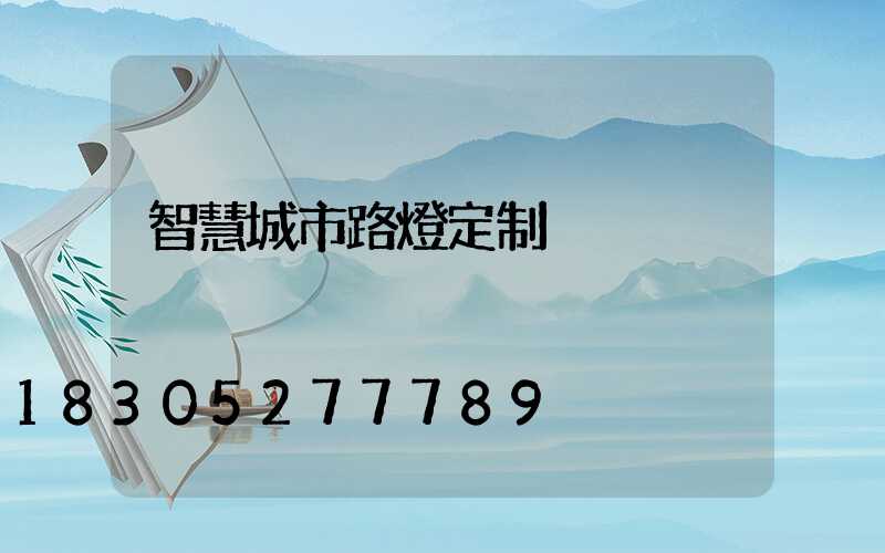 智慧城市路燈定制