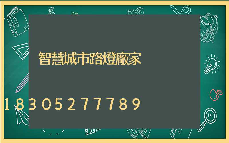 智慧城市路燈廠家
