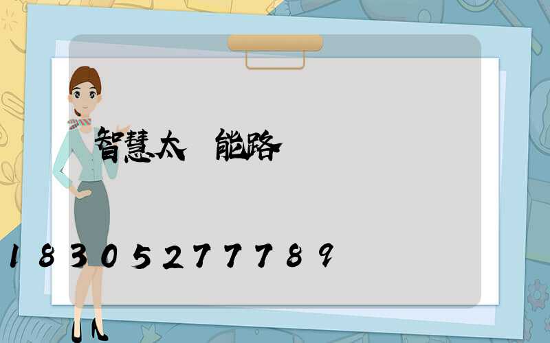 智慧太陽能路燈