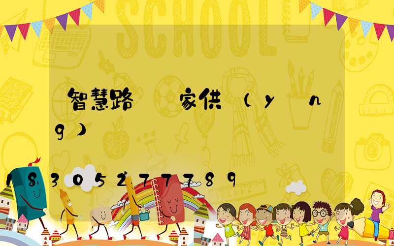 智慧路燈廠家供應(yīng)