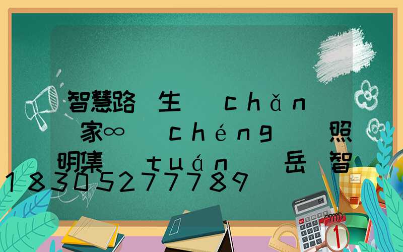 智慧路燈生產(chǎn)廠家∞誠(chéng)陽照明集團(tuán)(岳陽智慧路燈生產(chǎn)廠家)