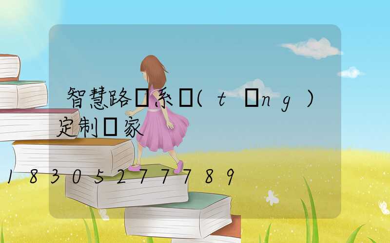 智慧路燈系統(tǒng)定制廠家