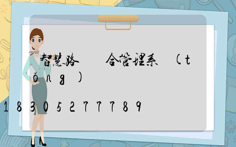 智慧路燈綜合管理系統(tǒng)