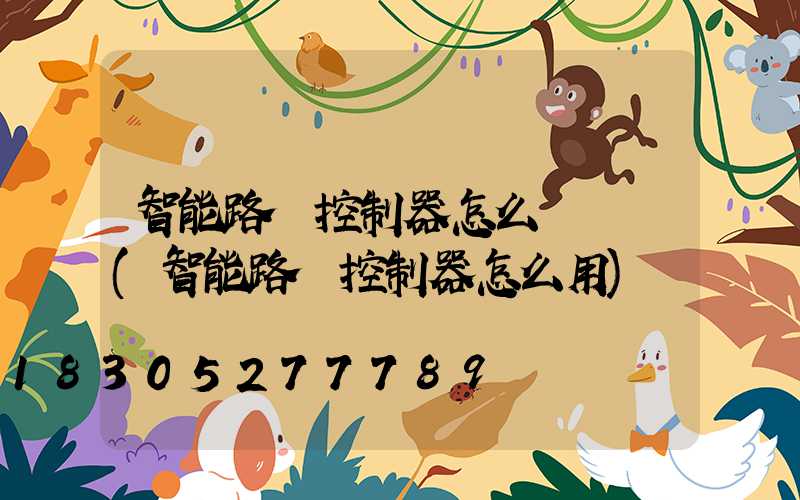 智能路燈控制器怎么調時間(智能路燈控制器怎么用)