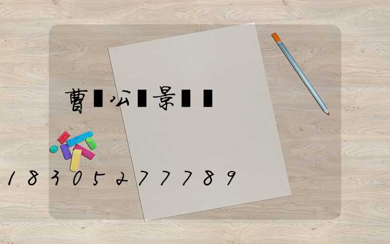 曹縣公園景觀燈