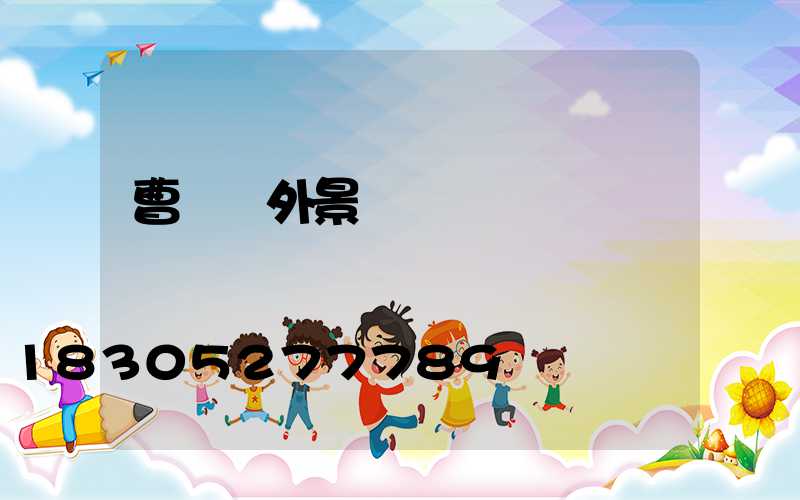 曹縣戶外景觀燈