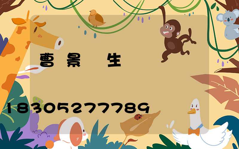 曹縣景觀燈生產