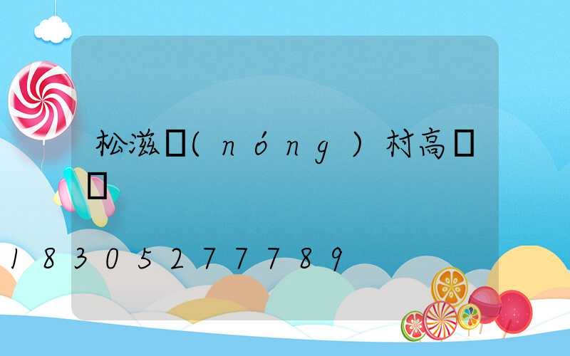 松滋農(nóng)村高桿燈