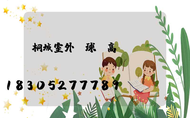 桐城室外籃球場高桿燈