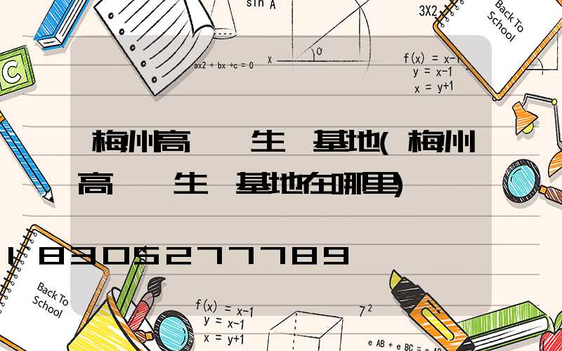 梅州高桿燈生產基地(梅州高桿燈生產基地在哪里)