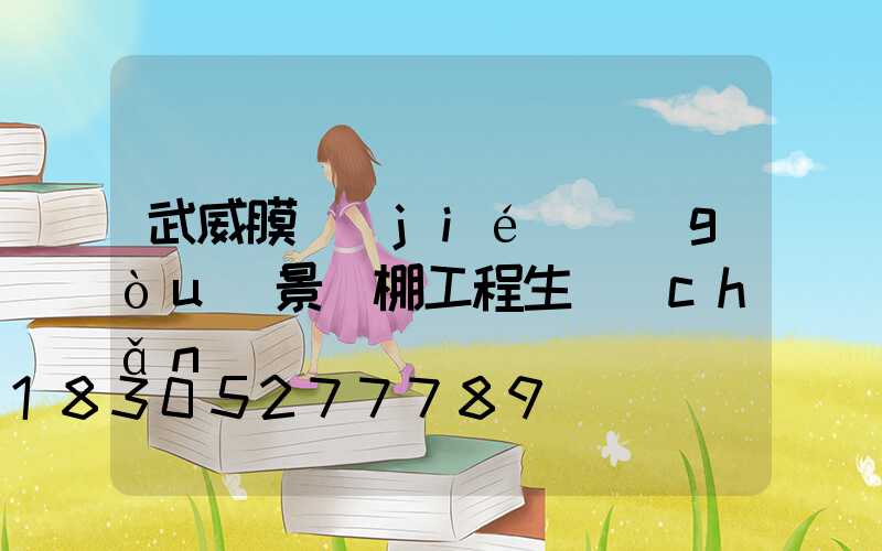 武威膜結(jié)構(gòu)景觀棚工程生產(chǎn)廠