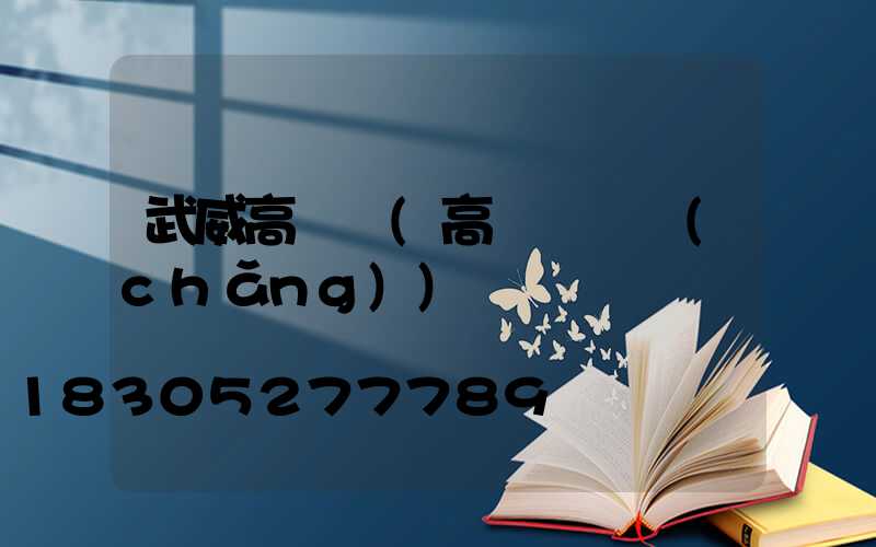 武威高桿燈(高桿燈廣場(chǎng))