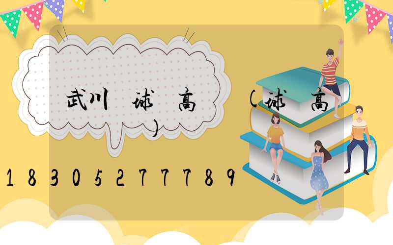 武川縣球場高桿燈(球場高桿燈參數)