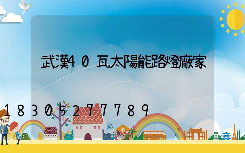 武漢40瓦太陽能路燈廠家