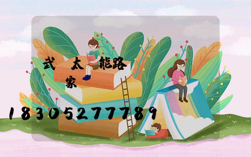 武漢太陽能路燈專業(yè)廠家