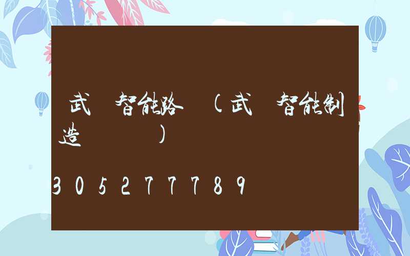 武漢智能路燈(武漢智能制造產業園)